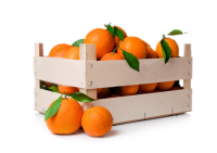 caissette oranges
