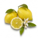 limone-352x352