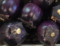 aubergines_violettes_rondes