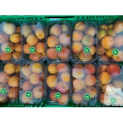 abricots_500g