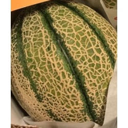 melon_1535417721