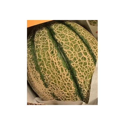 melon_1535417721