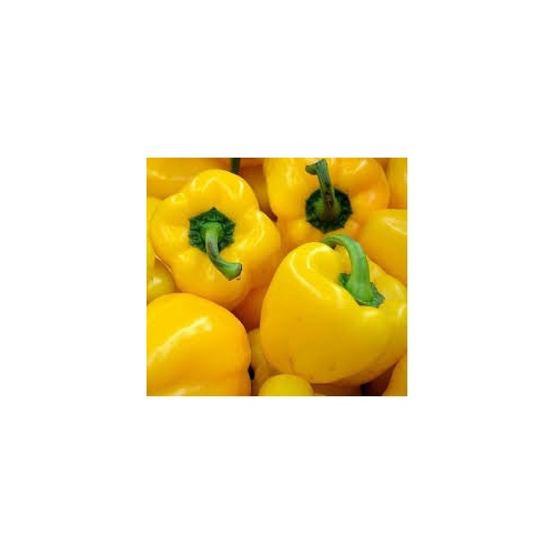 poivron_jaune2